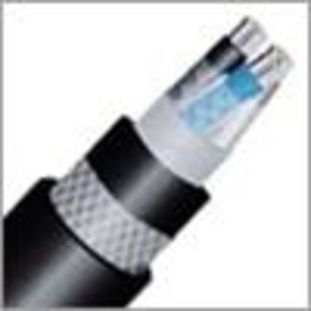 天津产地MKVVP2防爆控制电缆价格与选购指南