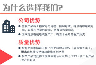 星辉映津哈 BVR电线与控制电缆的稳健链接之道